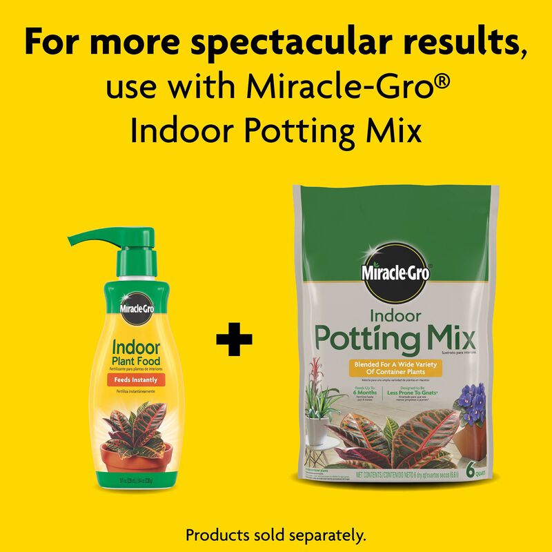 Miracle-Gro® Indoor Potting Mix and Miracle-Gro® Indoor Plant Food image number null
